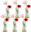 Glass Planter