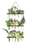Wall Glass Hanging Planter Terrarium with Wooden Stand