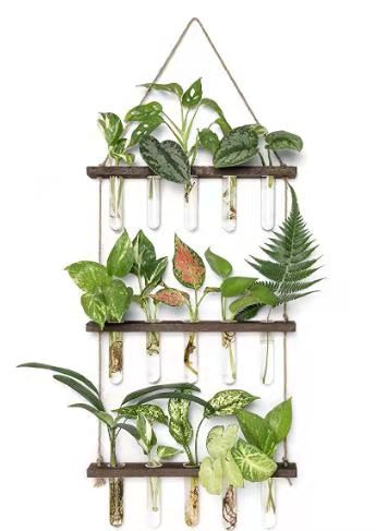 Wall Hanging Planter Terrarium with Wooden Stand