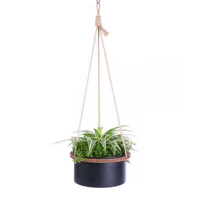 Hanging Planter Hanging Plant Basket Hanging Plant Pot Holder Indoor Outdoor, 8 Inch Diameter