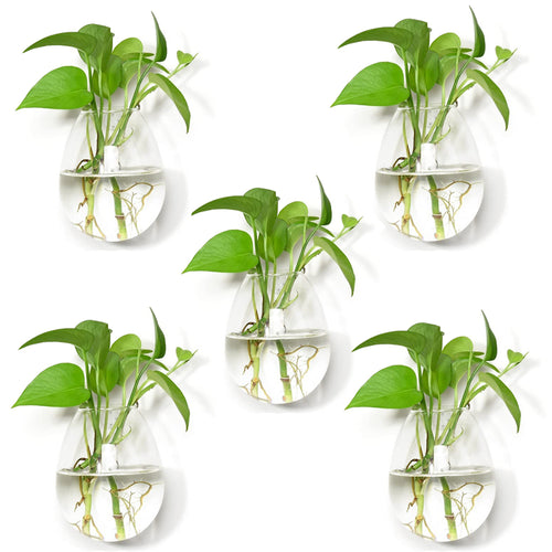 5 Packs Wall Hanging Planters Glass Plant Pots Water Plant Containers Glass Vases