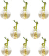 8 Pack Wall Hanging Planters Hanging Glass Terrariums Wall Glass Vases