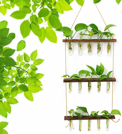 Wall Hanging Planter Terrarium with Wooden Stand