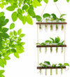 Wall Glass Hanging Planter Terrarium with Wooden Stand