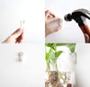 8 Pack Wall Hanging Planters Hanging Glass Terrariums Wall Glass Vases