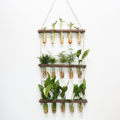 Wall Hanging Planter Terrarium with Wooden Stand