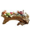 Artifivial Log Planter Pot Container Faux Wood Planter Tree Root Driftwood Cactus Container Flower Pot