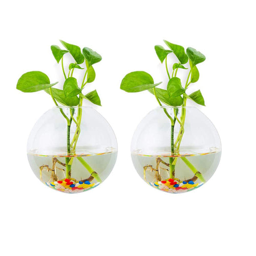 Pack of 2 Gladd Wall Hanging Planters Glass Plant Terrarium Indoor Planters
