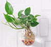 5 Packs Wall Hanging Planters Glass Plant Pots Plant Containers Glass Vases