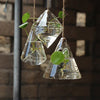 3 Pieces of Glass Plant Pots Hanging Planters Hanging Glass Terrariums
