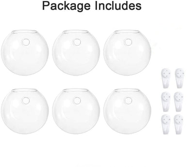 Pack of 6 Wall Hanging Planters Round Glass Plant Pots Hanging Flower Vase