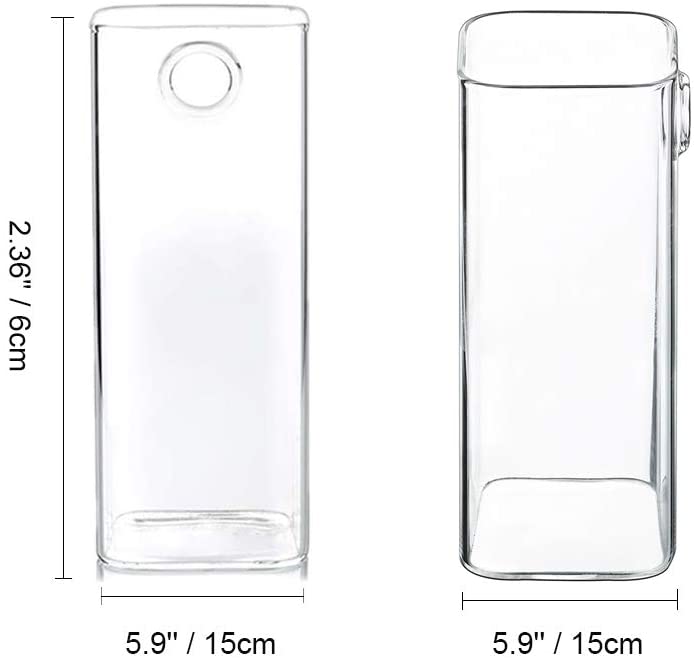 Pack of 4 Glass Vases Wall Hanging Planters Glass Plant Terrarium