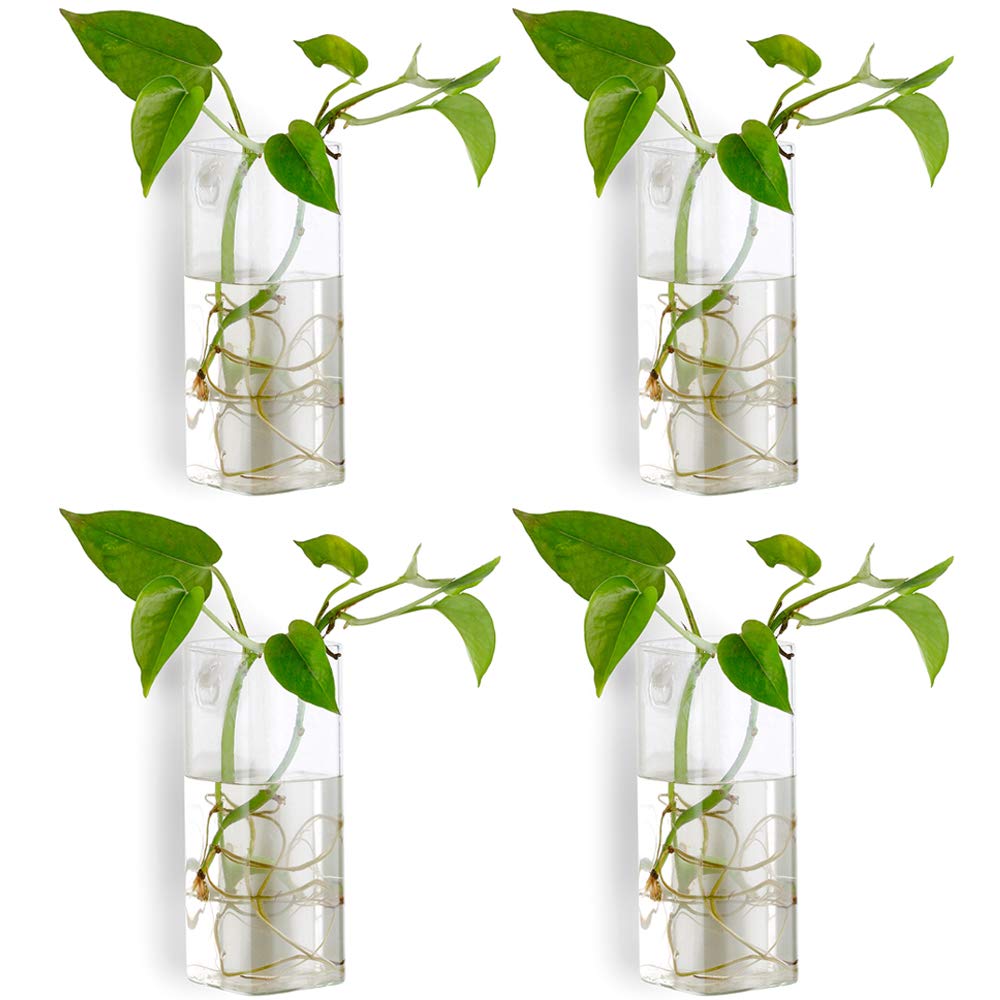 Pack of 4 Glass Vases Wall Hanging Planters Glass Plant Terrarium