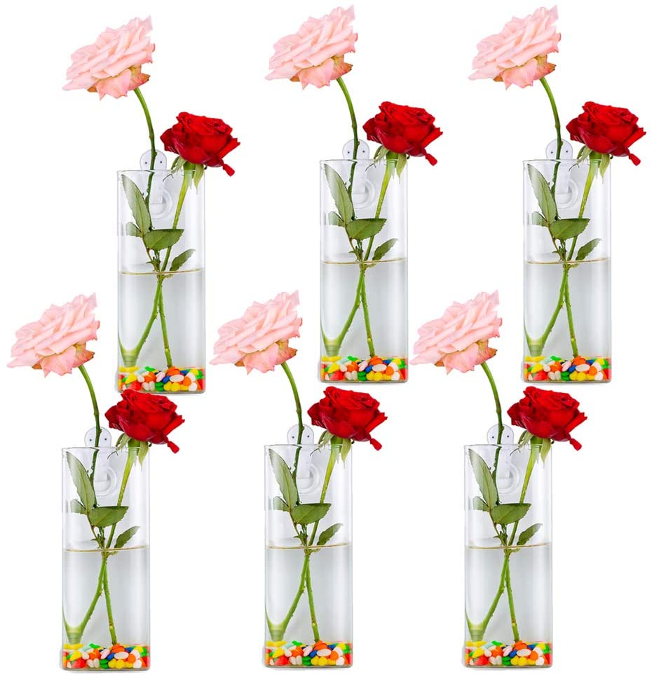 Pack of 6 Wall Hanging Glass Planters Cylindrical Shape Plant Pots