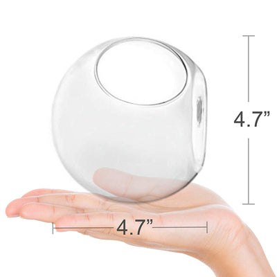 Pack of 4 Wall Hanging Plant Terrariums Hanging Glass Planter Glass Orbs