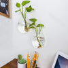 5 Packs Wall Hanging Planters Glass Plant Pots Plant Containers Glass Vases